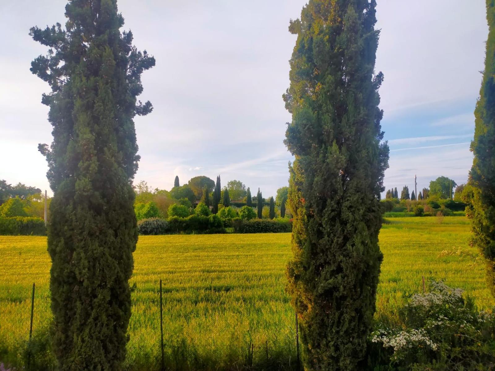 Villetta Con Parco Vicino San Gimignano Colle Val D'Elsa Exteriér fotografie